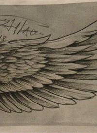 素描翅膀纹身手稿图片