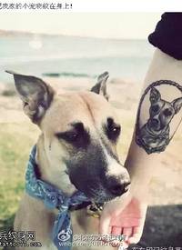 纹在身上的宠物纹身图案