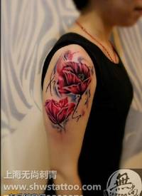 肩膀精美的罂粟花纹身图案