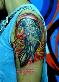 欧美个性乌鸦手臂纹身图片