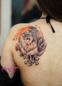 美女可爱猫咪肖像肩部纹身图片