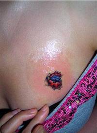 性感女生胸部漂亮感性的小昆虫纹身图图片