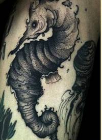 手臂黑灰海马纹身图案分享图片