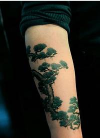 漂亮手臂个性时尚好看的松树纹身
