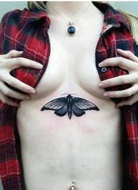 美女胸口一张个性时尚好看的蝴蝶纹身图片