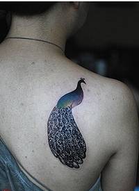 肩部紫色艳丽好看的孔雀纹身