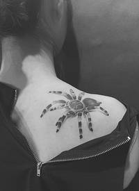 性感女神肩膀落着一只蜘蛛3d纹身