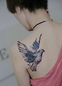 短发女生后背一只小燕子纹身刺青