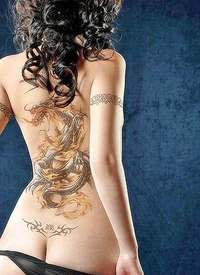 性感美女背部金龙纹身图案