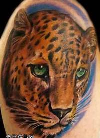 霸气的豹子纹身图案