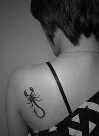 肩部小蝎子纹身图案
