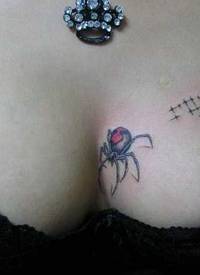 胸部小蜘蛛纹身图案