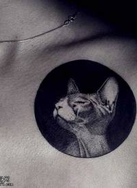 胸部猫咪纹身图案