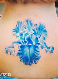 背部蓝花朵纹身图案