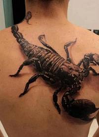 男性背部威猛帅气的蝎子纹身图案