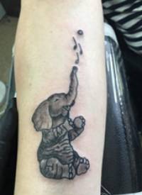 百乐动物纹身 男生手臂上黑色的大象纹身图片