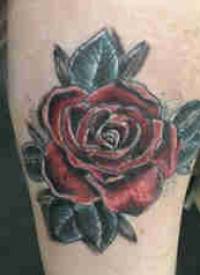 欧美小腿纹身 女生小腿上彩色的玫瑰纹身图片