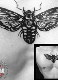纹身胸部男 男生胸部骷髅和蝴蝶纹身图片
