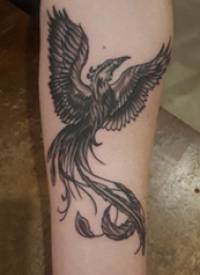 百乐动物纹身 男生手臂上黑色的凤凰纹身图片