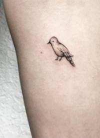 手臂纹身图案女生 女生手臂上黑色的小鸟纹身图片