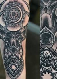 百乐动物纹身 男生手臂上梵花和麋鹿纹身图片