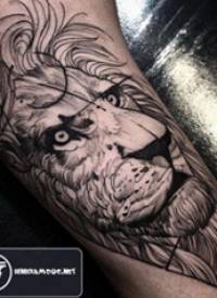 百乐动物纹身 男生大臂上黑色的狮子纹身图片