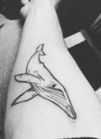 纹身鲸鱼 男生手臂上鲸鱼纹身图片