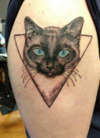 大臂纹身图 男生大臂上三角形和猫咪纹身图片