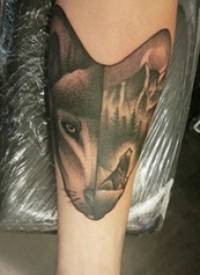 狼头纹身 男生手臂上狼头纹身图片