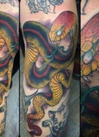 蛇和手臂纹身图案  男生手臂上彩绘的蛇和手臂纹身图片