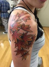 枫叶纹身图 女生手臂上枫叶纹身图片