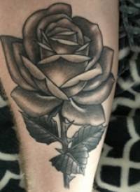 玫瑰纹身 男生小腿上玫瑰纹身图片