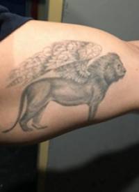双大臂纹身 男生大臂上霸气的狮子纹身图片