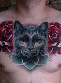 男性满胸漂亮的玫瑰花和猫纹身图片