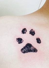 黑色的狗爪印纹身小清新女士可爱纹身图片