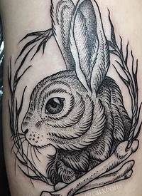 黑色的点刺纹身动物图案纹身简单手稿兔子图案