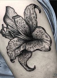 大臂欧美黑灰点刺花卉tattoo纹身图案
