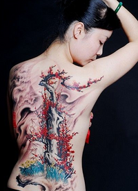 女孩满背漂亮的梅花风景纹身