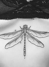 胸部点刺性感小清新蜻蜓纹身图案