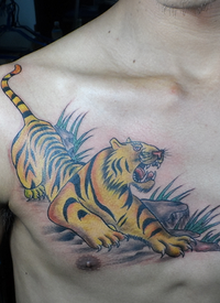 男士胸部下山虎纹身图案