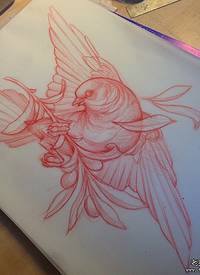 欧美school鸟树枝纹身图案手稿