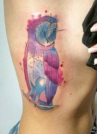 侧腰泼墨彩色猫头鹰纹身图案