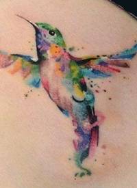 腿部水彩画的蜂鸟纹身图片