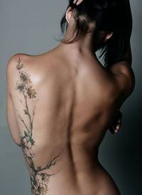 女性背部精美的桃花花枝纹身图案