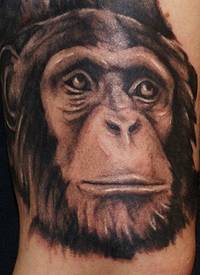 腿部逼真的黑白黑猩猩头部纹身