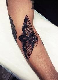 手臂可爱的飞蛾设计纹身图案