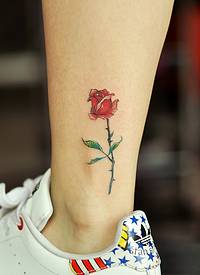 小腿下的鲜艳小玫瑰花纹身图案