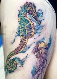 女生大腿上彩绘海马与水母纹身图片