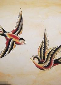 彩绘素描创意个性文艺小清新小鸟纹身手稿