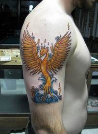 男性肩部彩色凤凰复活纹身图案